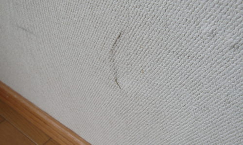 室内損害対応　全国対応可　離島対応可　お住まいサポート　自然災害調査士　火災保険　給付金 保険申請　保険請求